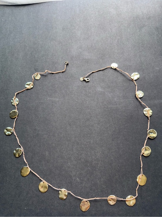 Talbots Jewelry - Talbots— gold dangling necklace